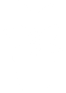 design plante verte design plante verte